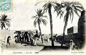 Sidi-Okba - Rue - 1905